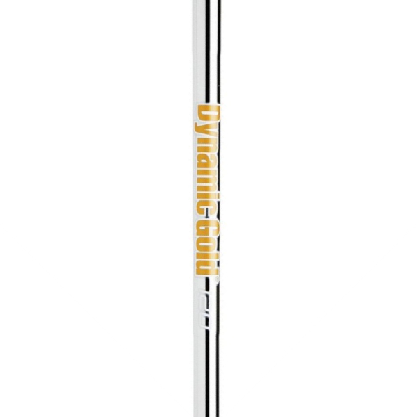 True Temper Dynamic Gold 120 Steel 0.355" Iron - Regular #2
